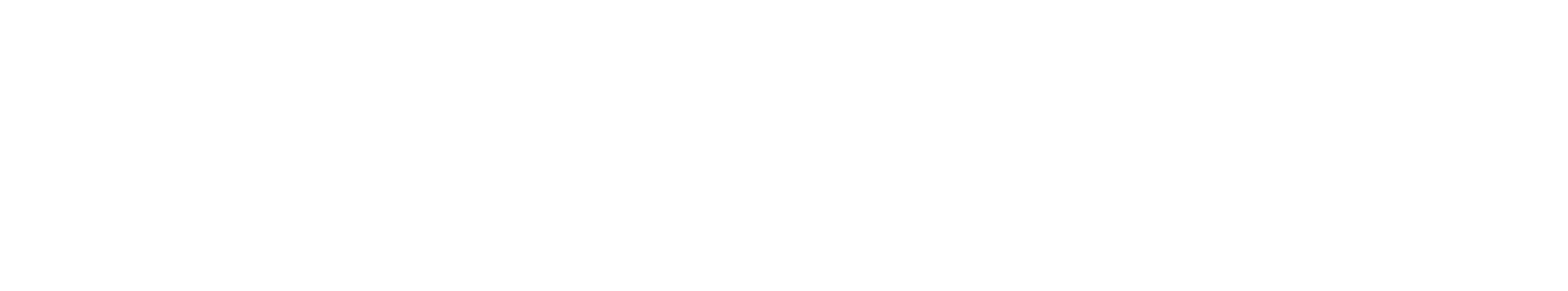 RISE_logo_white
